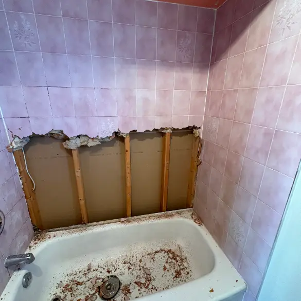 Bathroom-upgrade04032026013258s2 